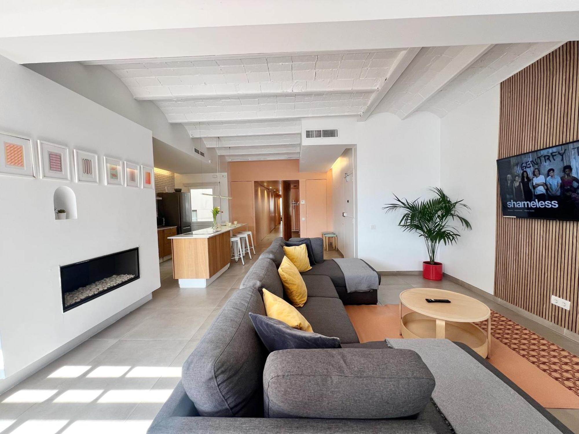 Plaza Cataluna Penthouse *